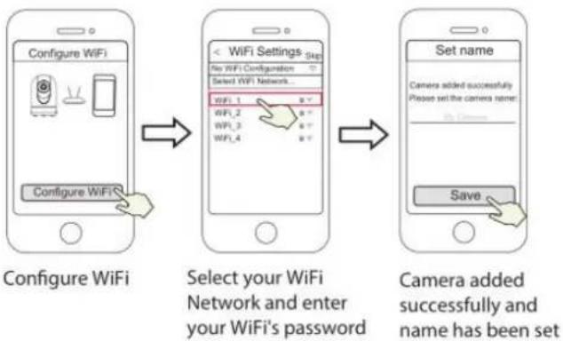 FOSCAM SD2X - Wired Connection - 5