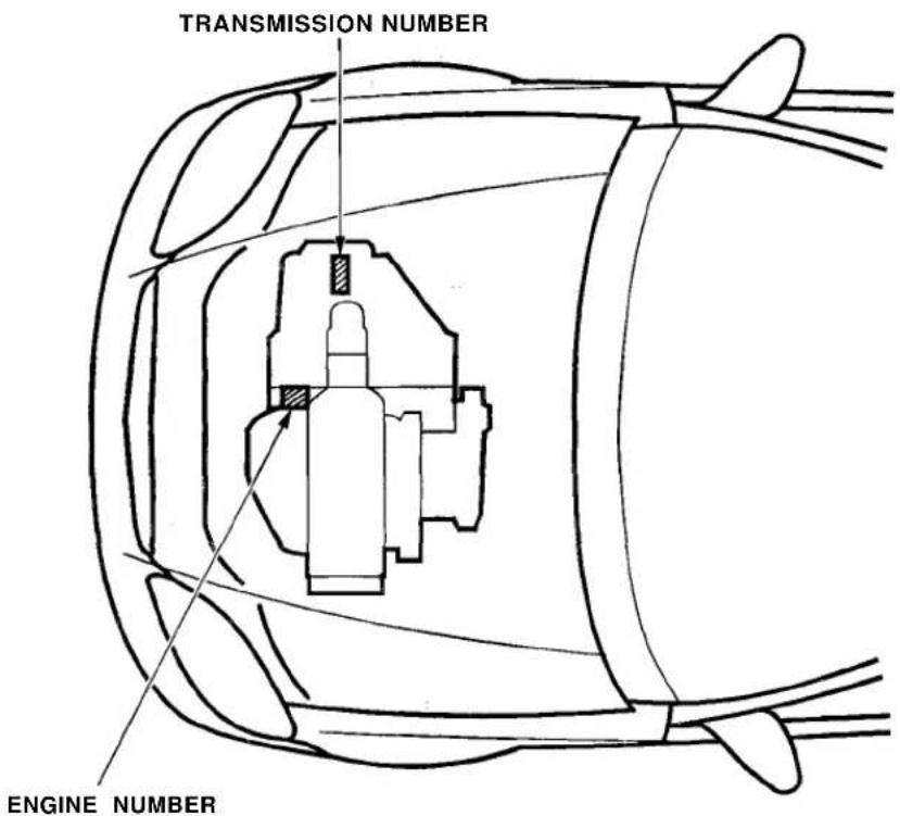 Honda Civic Coupe (1998) - Identification Numbers - 2