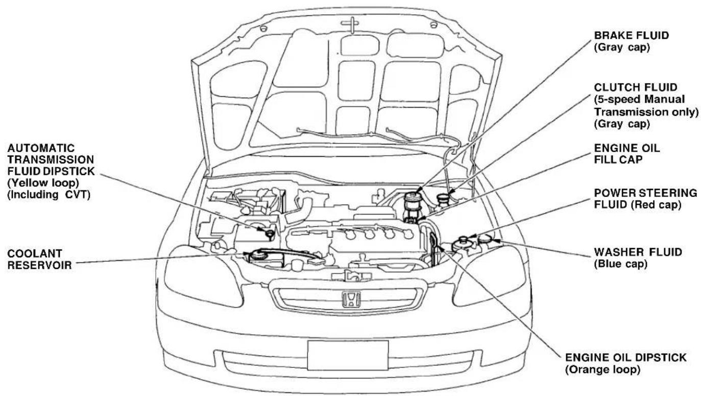 Honda Civic Coupe (1998) - Fluid Locations - 1