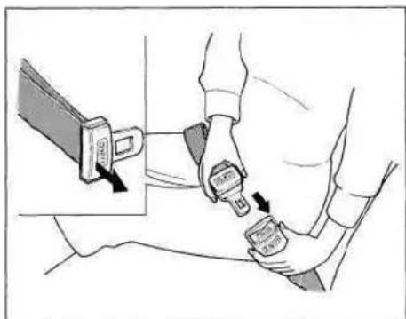 Honda Civic Coupe (1998) - Protecting Adults - 2