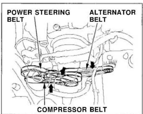 Honda Civic Coupe (1998) - Drive Belts, Timing Belt - 1