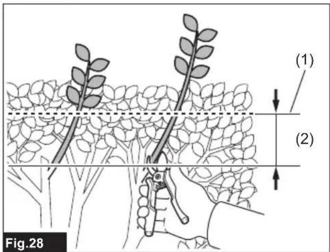 (1) (2) Fig.28