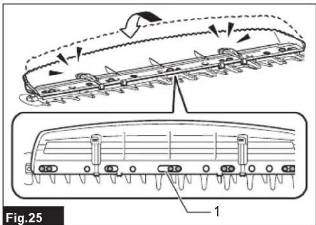 Fig.25 1
