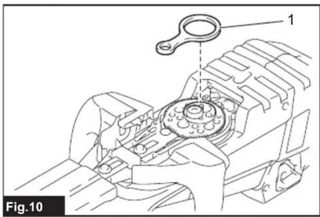 1 Fig.10
