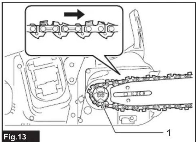 Fig.13 1