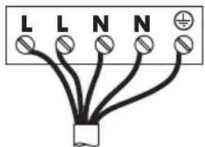 L L N N