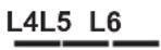 GORENJE WHT921E3XBGUK - T1T2T3T4T5T6T7T8T9 - 6