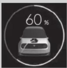 60%