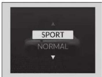 SPORT NORMAL