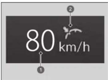 80 km/h