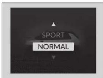 SPORT NORMAL