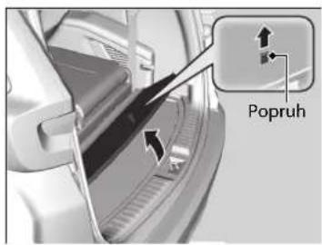 Popruh