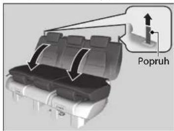 Popruh