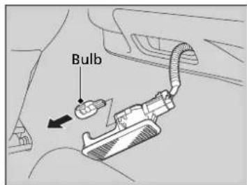 Bulb