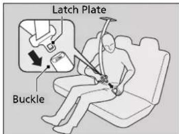 Latch Plate Buckle