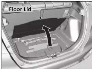 Floor Lid