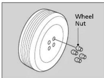 Wheel Nut