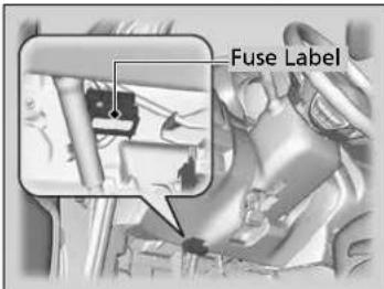 Fuse Label