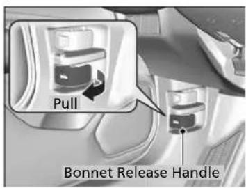 Pull Bonnet Release Handle