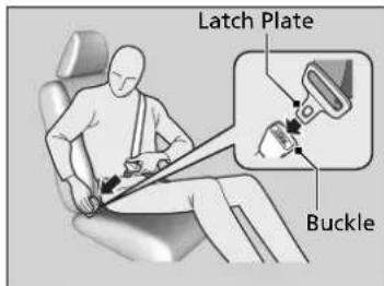 Latch Plate Buckle