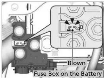 Blown Fuse Box on the Battery