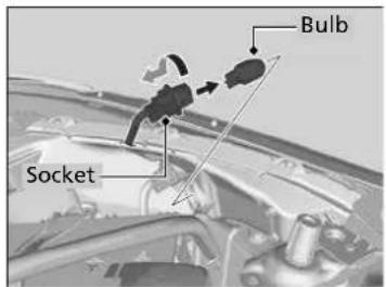 Bulb Socket
