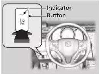 Indicator Button