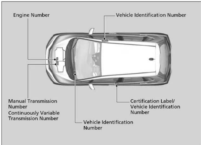 Engine Number Vehicle Identification Number Manual Transmission Number Continuously Variable Transmission Number Certification Label/Vehicle Identification Number Vehicle Identification Number