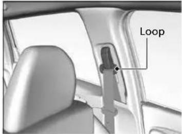 Loop