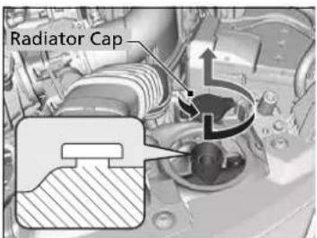 Radiator Cap