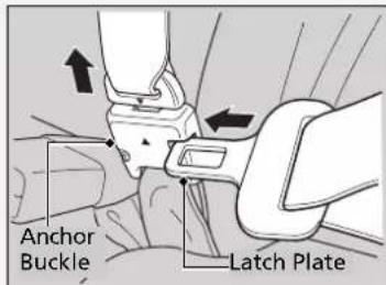 Anchor Buckle Latch Plate