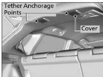 Tether Anchorage Points Cover