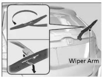 Wiper Arm
