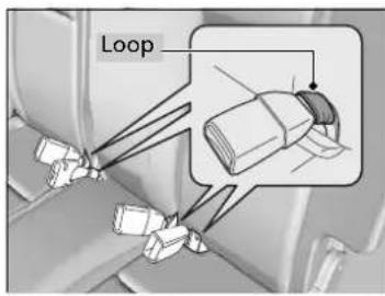 Loop