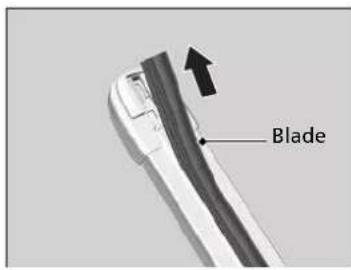 Blade