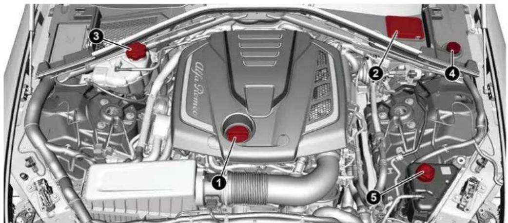 ALFA ROMEO Giulia (2021) - ENGINE COMPARTMENT - 1