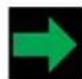 ALFA ROMEO Giulia (2021) - Right Turn Signal Indicator Light - 1