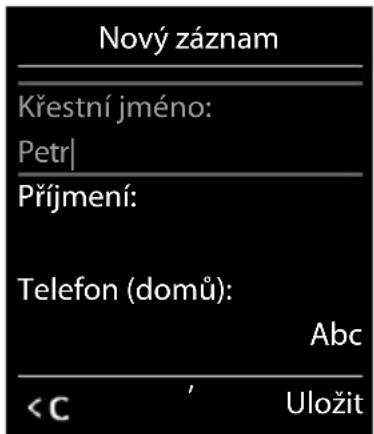 Nový záznam Křestní jméno: Petr| Příjmení: Telefon (domů): Abc