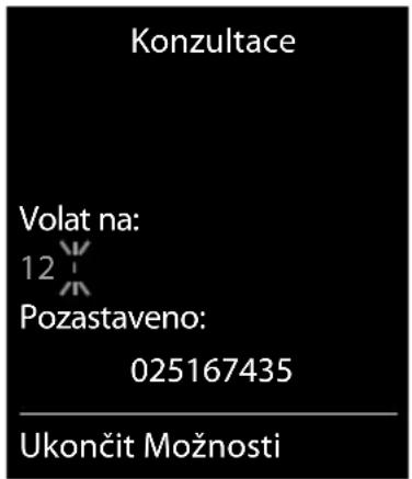 Konzultace Volat na: 12 Pozastaveno: 025167435 Ukončit Možnosti
