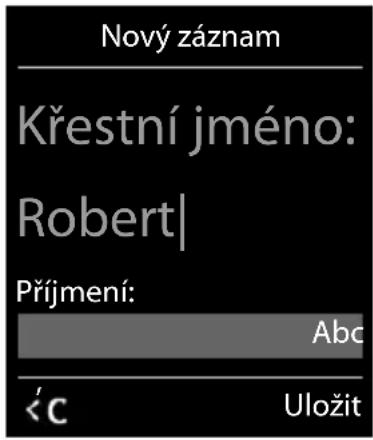 Nový záznam Křestní jméno: Robert| Příjmení: Abc 'C Uložit