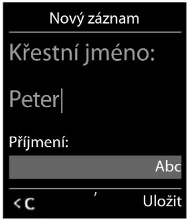 Nový záznam Křestní jméno: Peter| Příjmení: Abc < C ' Uložit