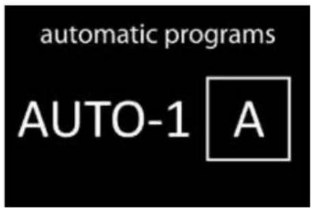 automatic programs AUTO-1 A