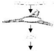 SMEG FMI320X2 - Installation Instructions - 1