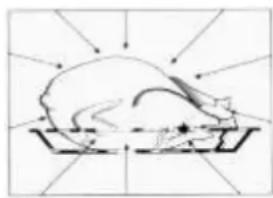 SMEG FMI320X2 - Why the food is heated - 3