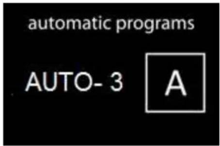 automatic programs AUTO- 3 A