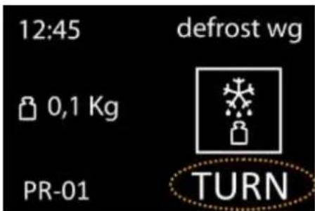 12:45 defrost wg 0,1 Kg PR-01 TURN