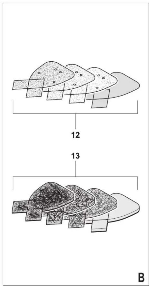 12 13 B
