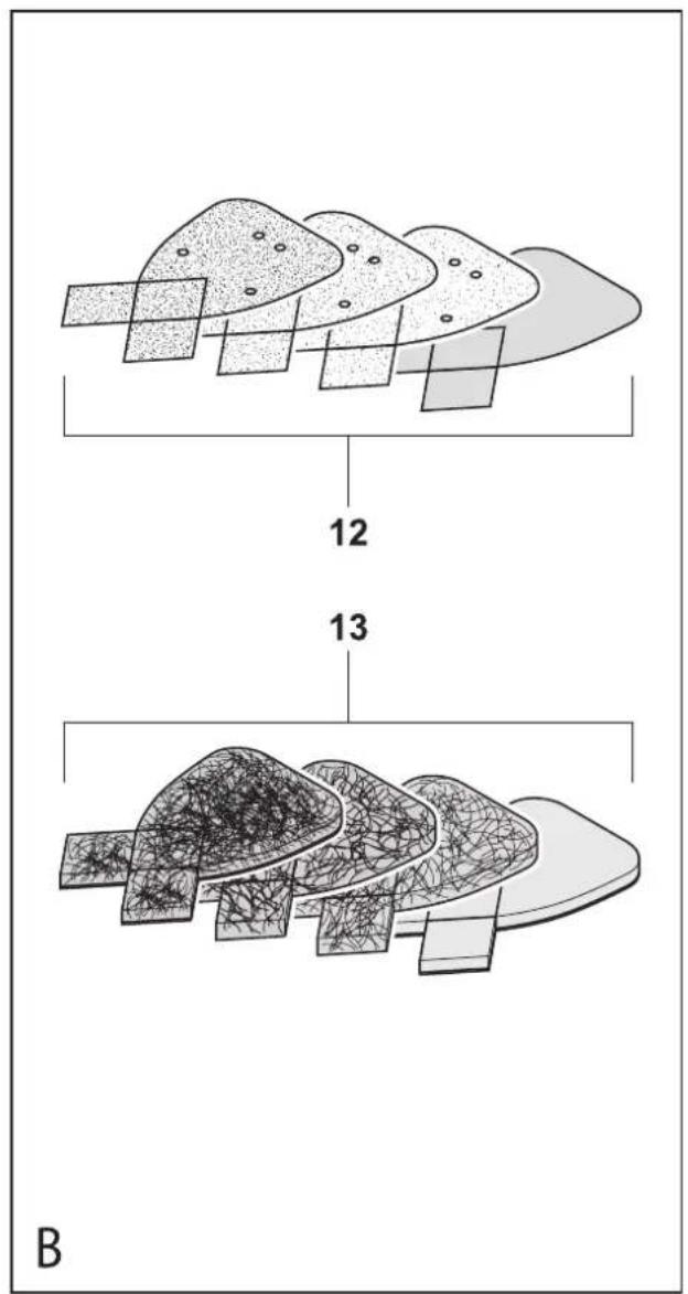 12 13 B