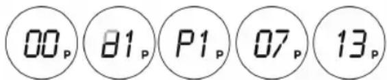 00p 81p P1p 07p 13p