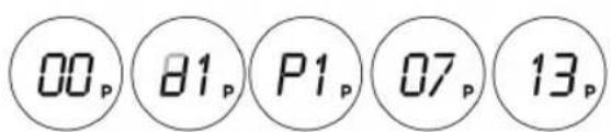 00p 81p P1p 07p 13p